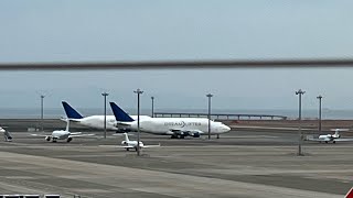 【中部国際空港】セントレアスカイデッキからの航空機の動き(ドリームリフターを添えて😗)