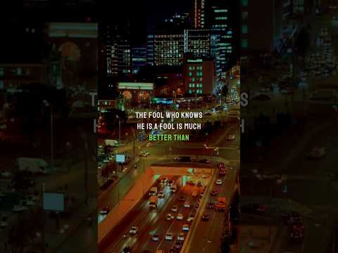 Don't be a fool | ThoughtMotive #personaldevelopment #wisdom #selfimprovement