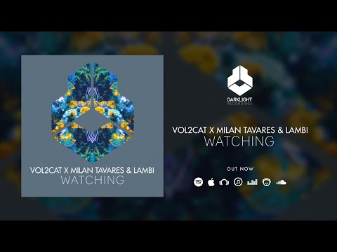 Vol2Cat x Milan Tavares & Lambi   Watching Official Music Video