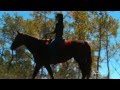 ♥ YANNI - Truth of Touch - Long Way Home♥