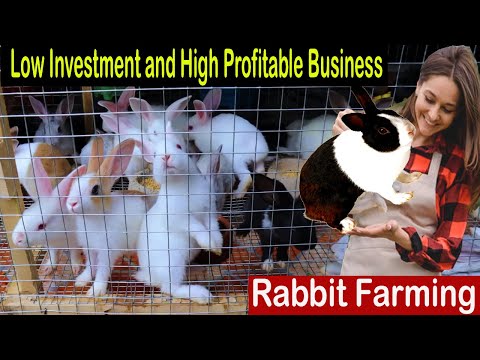 , title : 'Rabbit Farming Business Plan - How to Start Business Rabbit Farm - Business Ideas at Home'