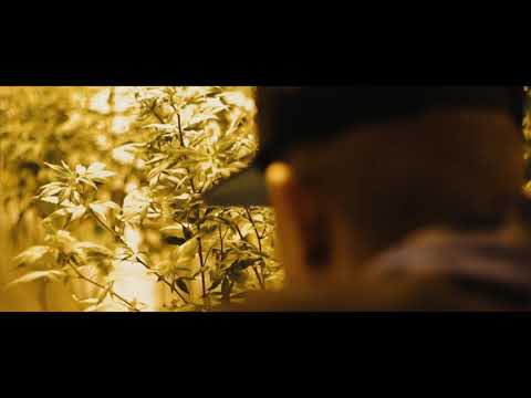 Cholo G - Lord Knows (OfficialMusicVideo)