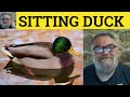 Sitting Duck Meaning Sitting Duck Examples Sitting Duck Defined Idioms Sitting Duck