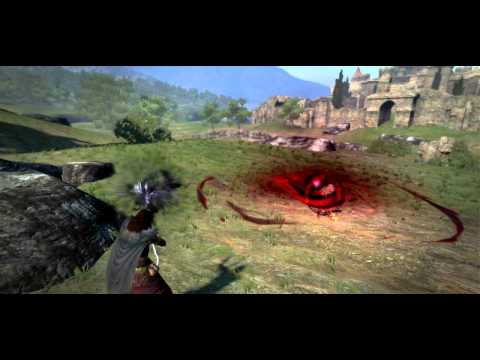 Dragon's Dogma Class Skills: Sorcerer - Exequy