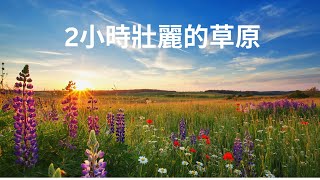 2小時壯麗的草原 – 舒緩影片，適合失智症、阿茲海默症患者與照顧者