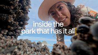 The world’s top nature searches answered in one epic national park | S