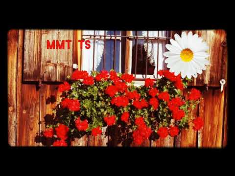 Hirazerdüş -Bu can senin