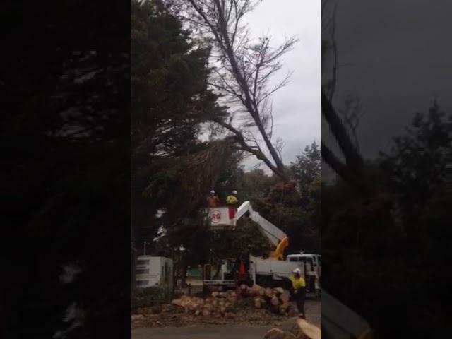 Tree Top Tower Hire - Ballarat East, VIC