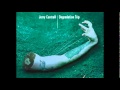 Jerry Cantrell - Solitude 