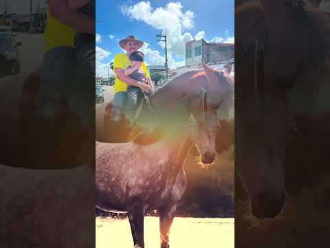 24° Cavalgada dos Amigos em Muribeca Sergipe.
