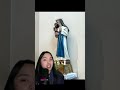 Saint Irma Dulce Mother Teresa Of Brazil