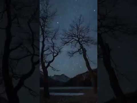 C.O.N Sequenzer Feat. MILK - Before Daybreak 2000