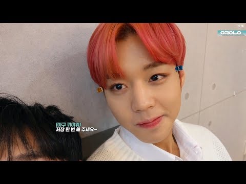 181222 오케워너원 ep.36 박지훈 배진영 cut