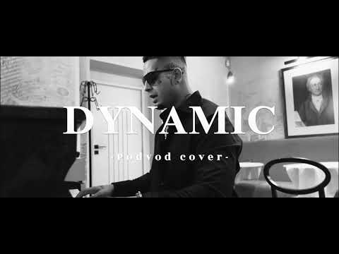 Dynamic - cover Podvod