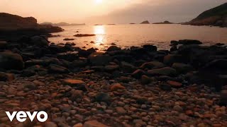 Surfeit Rose Music Video