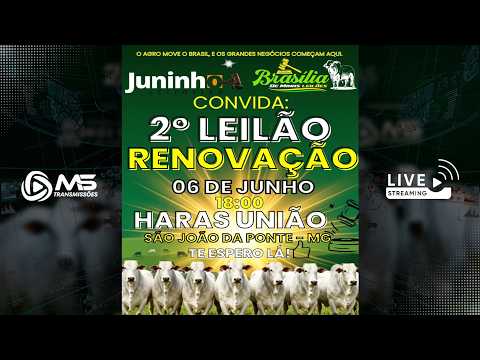 2º Leilão Renovação São João da Ponte - MG