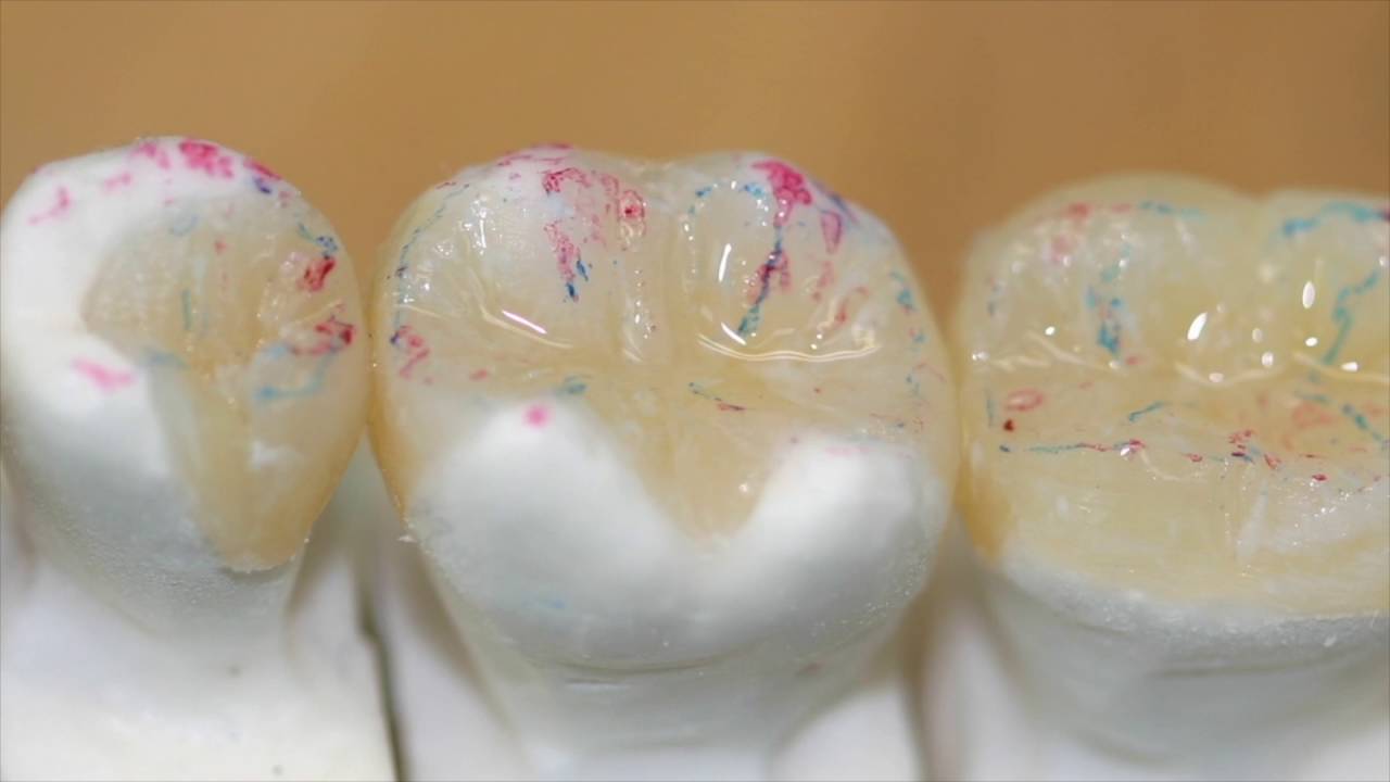 Corso anatomia e stratificazione Leo Colella