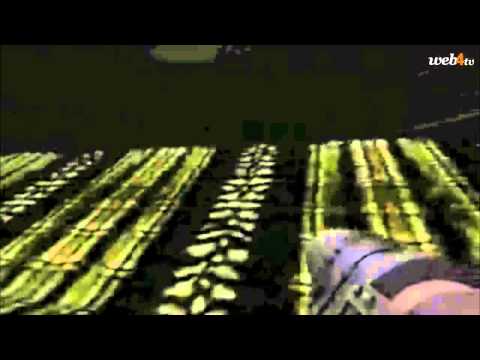 GameStar TV s07e06 - Kerekasztal