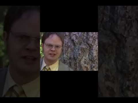 Hilarious Chaos Ensues as Michael Scott Eats Toxic Mushrooms | The Office Funny Moments