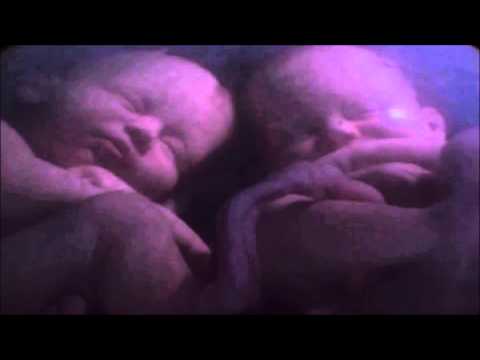 Baby's spreken over geloof - grappig en serieus - evangelie