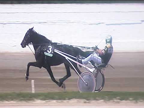 Trotto 19/04/2019 - 1ª corsa