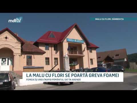 LA MALU CU FLORI SE POARTA GREVA FOAMEI