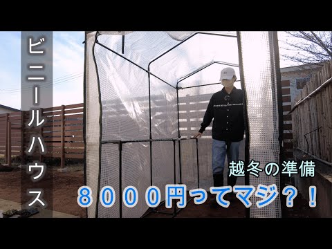 冬に向けて温室を準備することは、自尊心のあるすべての庭師の優先事項です。どのような活動を始めるべきですか?  庭園