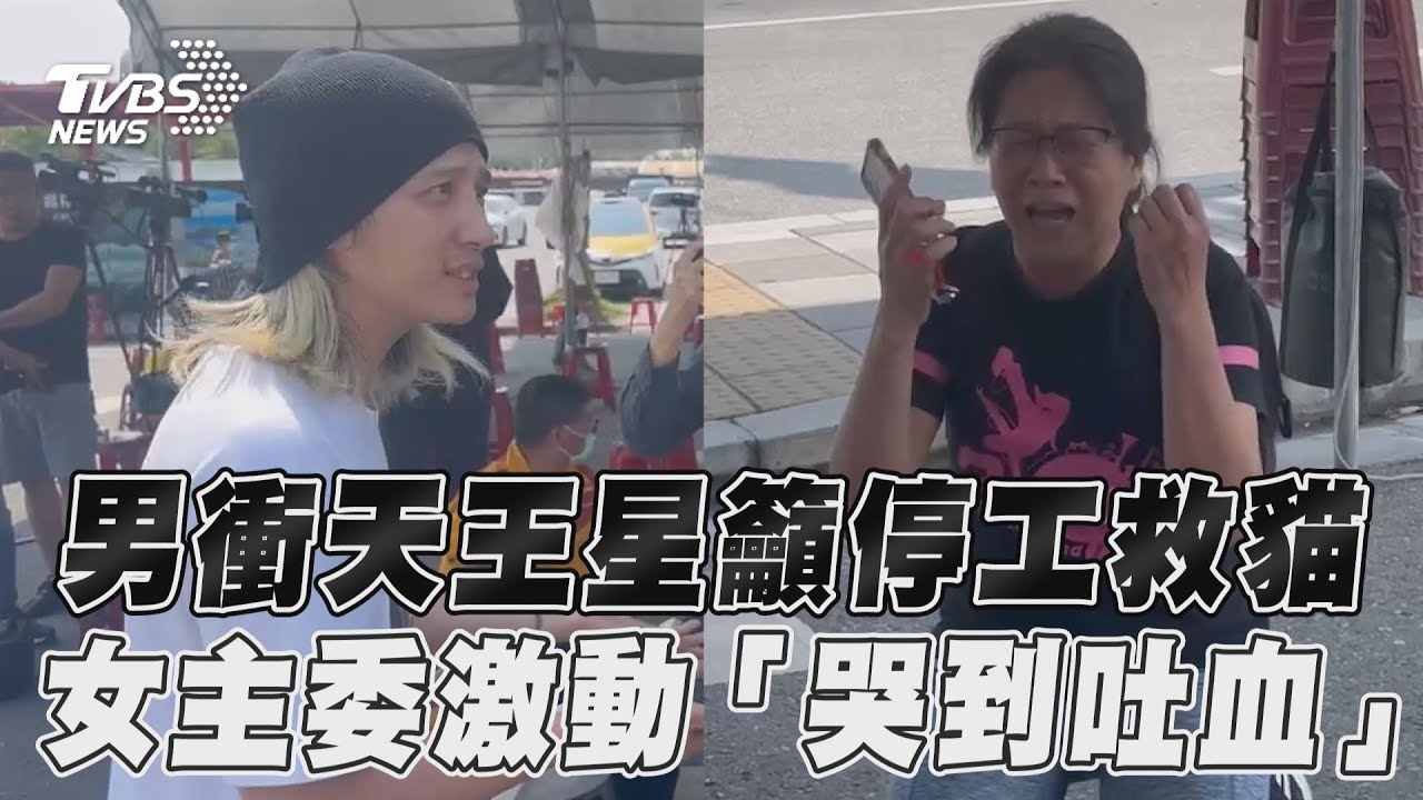 花蓮地震/天王星3貓待救!愛貓男衝現場籲停工救援 女主委哭到吐血