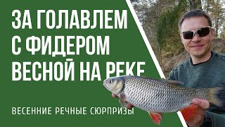 Ссылка