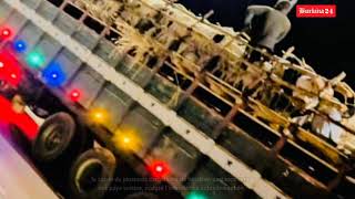 Exportation illégale de bétail : plusieurs cargaisons interceptées par la BMCRF