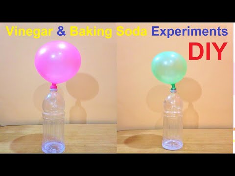 Water Density Science Experiment using Eggs Salt Water DIY howtofunda