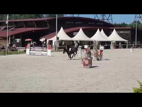 Athena de la hee geispolsheim samedi 25 juin 2022 grand prix 1.10