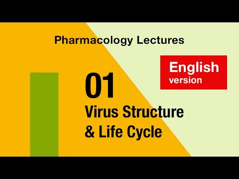 Antiviral Pharmacology | Lec 01: Virus Structure & Life Cycle | English Version