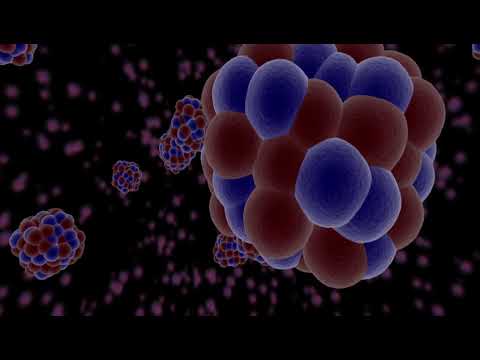 Building Blocks of the Universe