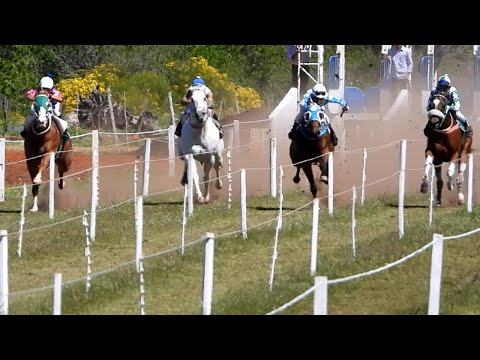 RUBIA - 375mts - Hipodromo de Artigas - 08/10/2023