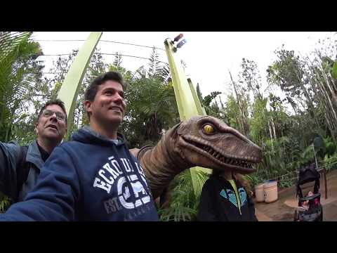 Os dinossauros não foram extintos - Velociraptor