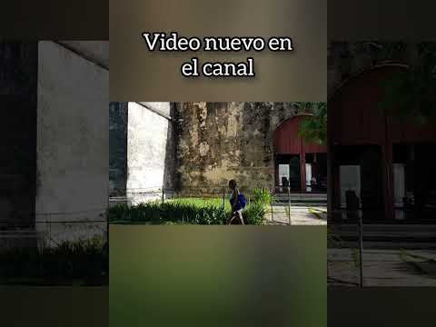 Tapaste en Mayabeque