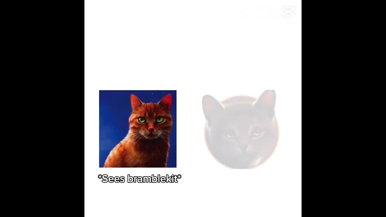 Firestar to brambkekit be like 😂 #meme #funny #warriorcats