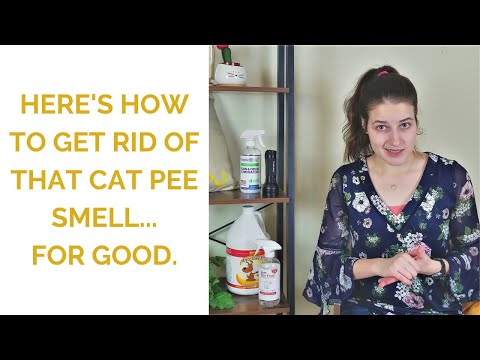 How to Get Rid of Cat Pee Smell (This is the ONLY method that works!)