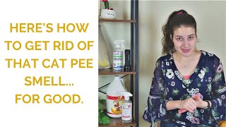 How to Get Rid of Cat Pee Smell (This is the ONLY method that works!)