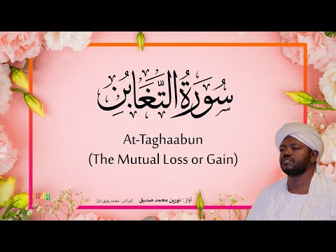 64. At-Taghaabun (The Mutual Loss or Gain)  | Beautiful Quran Recitation by Sheikh Noreen Muhammad