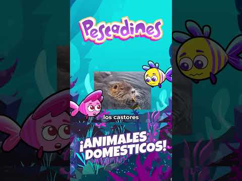 Los ratones no son animales domesticos
