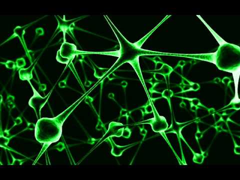 [NEW] DJ Pedrox Feat. DJ Theeuz - Star Crush (Hard Electro Motion [NEW]