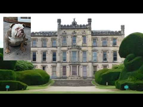 HEARTBREAKING 🔴 UNTOLD TRUE STORY FROM THE OWNER OF POOR DOZER  🔴