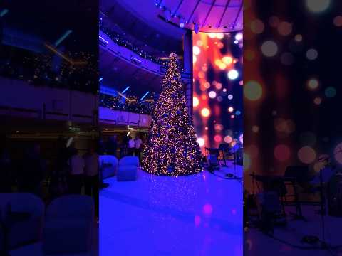 Thumbnail for Sun Princess Piazza decked out for the Holidays