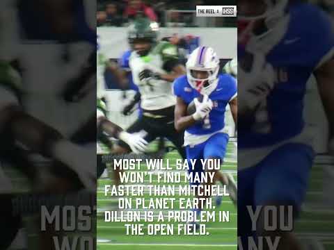 Learn more about CE King wide receiver, Dillon Mitchell