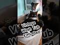 Foster Kitty Tuxie Gets A Unique Cat Bed Cutekitty Catroom