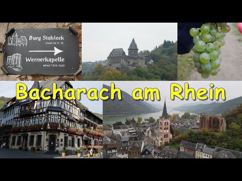 Bacharach am Rhein | Stadtbummel | Burg Stahleck | Weinberge