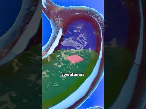 What Happens When You Swallow Chewing Gum? 🍬