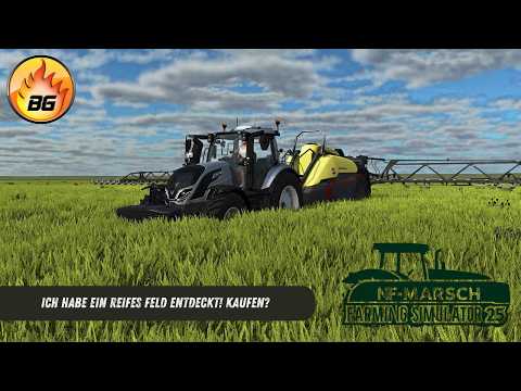 I've discovered a RIPE FIELD! Buy it? | NF March #303 | Farming Simulator 25